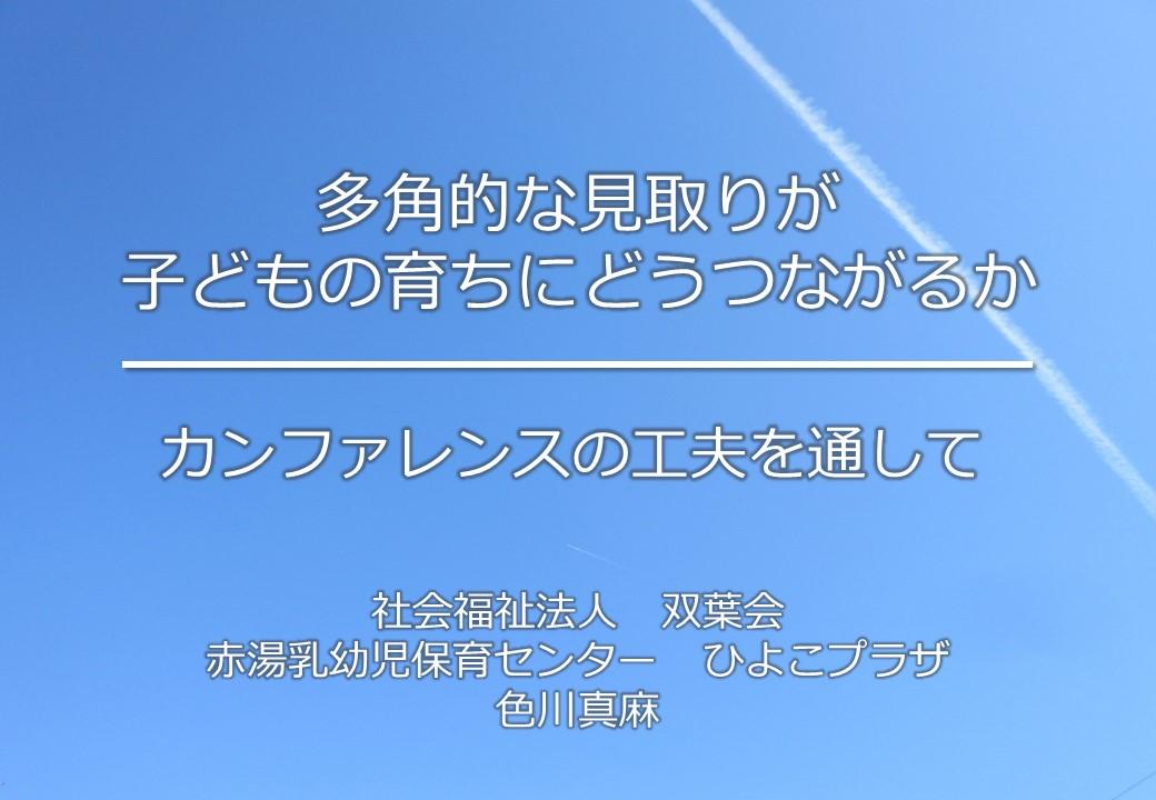 写真（色川先生発表資料）.jpg