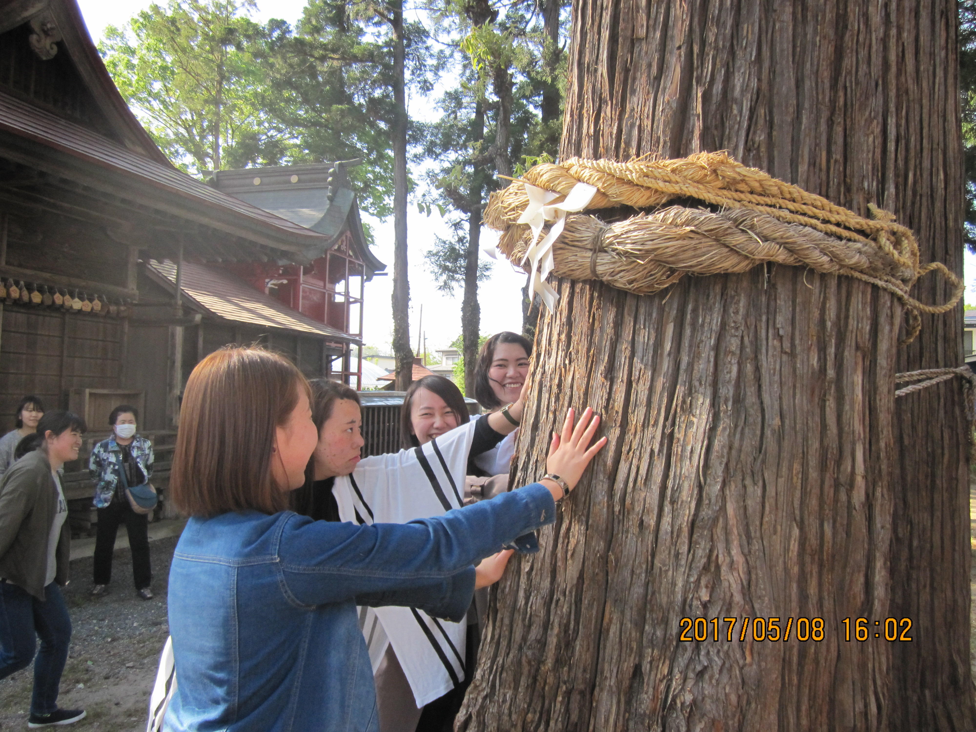 2甲箭神社３.JPG